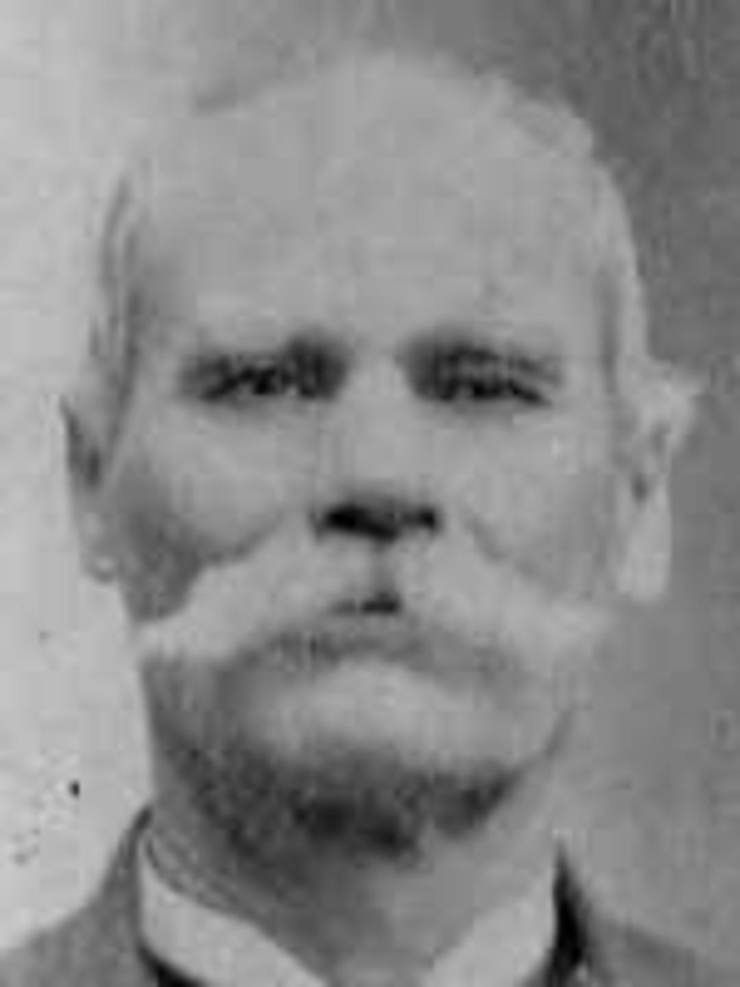 James Baker Hamilton (1842 - 1914) Profile